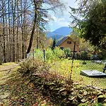 Modry Prywatny W Lesie Z Kominkiem Holiday home *