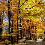 Hébergement de vacances Modry Prywatny W Lesie Z Kominkiem Szczyrk