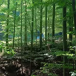 Modry Prywatny W Lesie Z Kominkiem Hébergement de vacances
