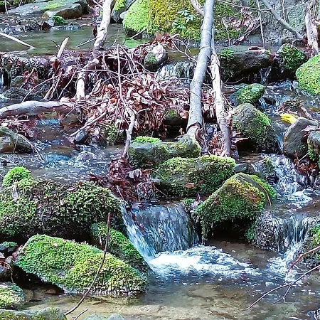 Tatil Evi Modry Szczyrk