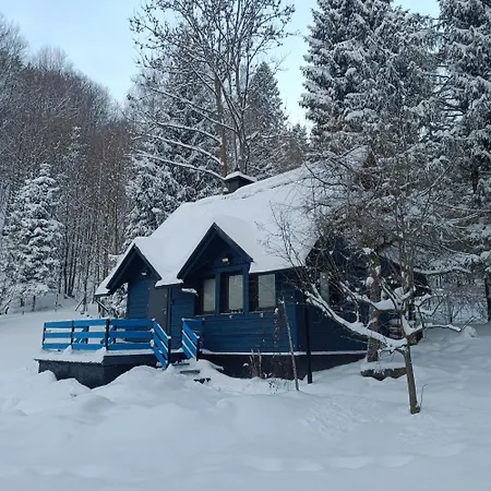 Modry Prywatny W Lesie Z Kominkiem Szczyrk
