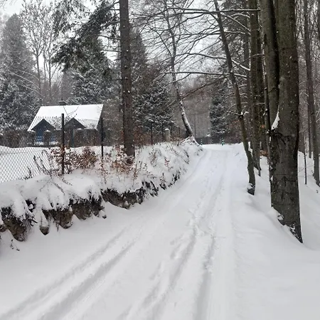 Modry Prywatny W Lesie Z Kominkiem Holiday home Szczyrk